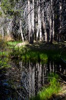 Mirror Pond, Yosemite