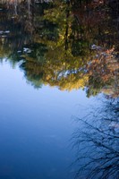 Walden Pond Reflection