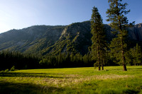 Field in Yosemite
