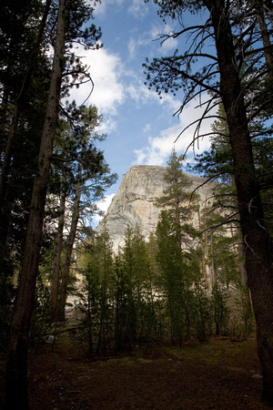 Mountain Through Trees, Yosemite